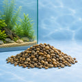 Piedras Decorativas Para Pecera