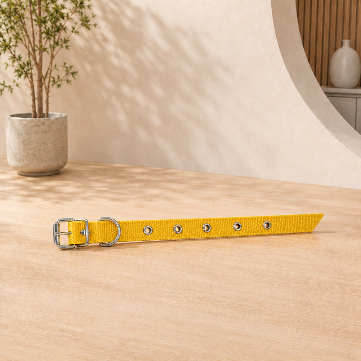 Collares de perro de cinta simple 30x1.5Cm