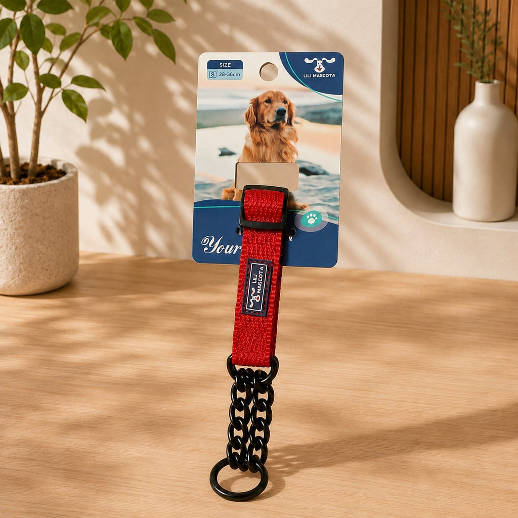 Collar regulable con cadena para perros