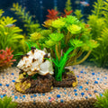 Decoración para pecera con caracola y plantas