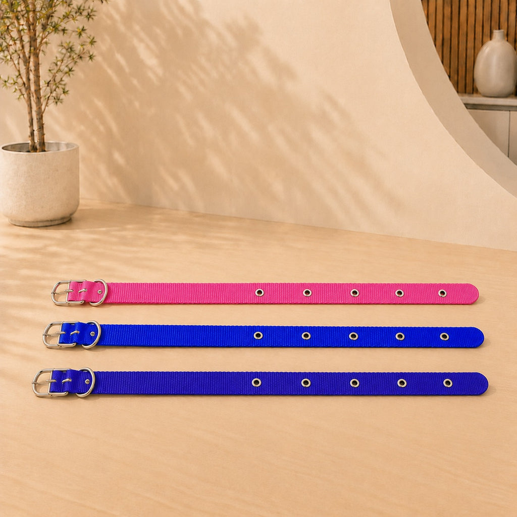 Collares de perro de cinta Reforzada 70x3.5Cm