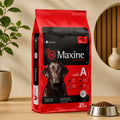 Maxine Perro adulto