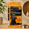 Maxine Perro cachorro